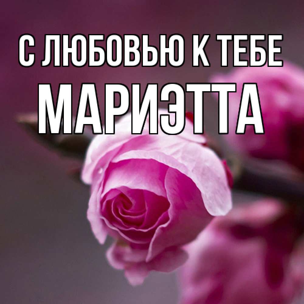 Открытка  с именем. Мариэтта, С любовью к тебе  