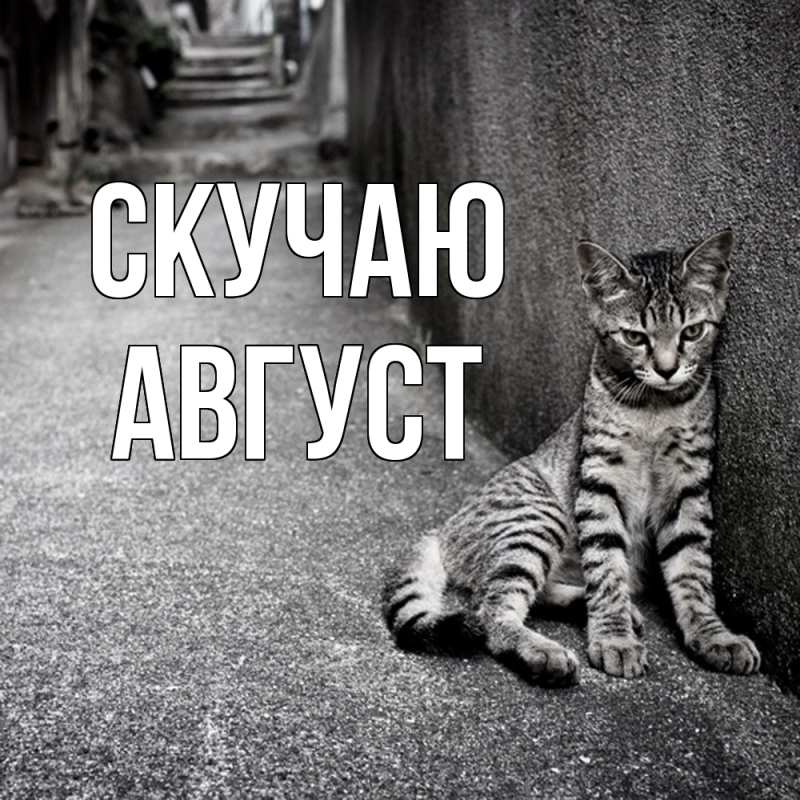Картинка Скучаю, Август