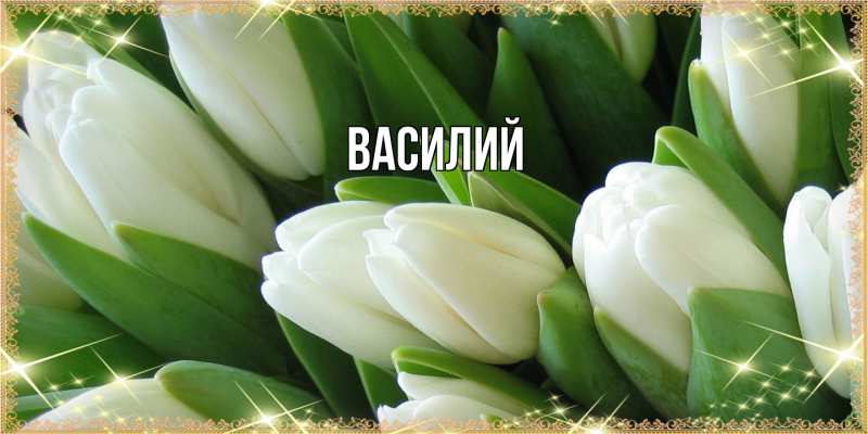 Картинка  с именем , Василий