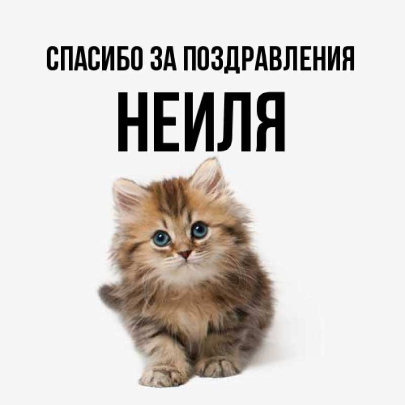 Картинка Спасибо за поздравления, Неиля