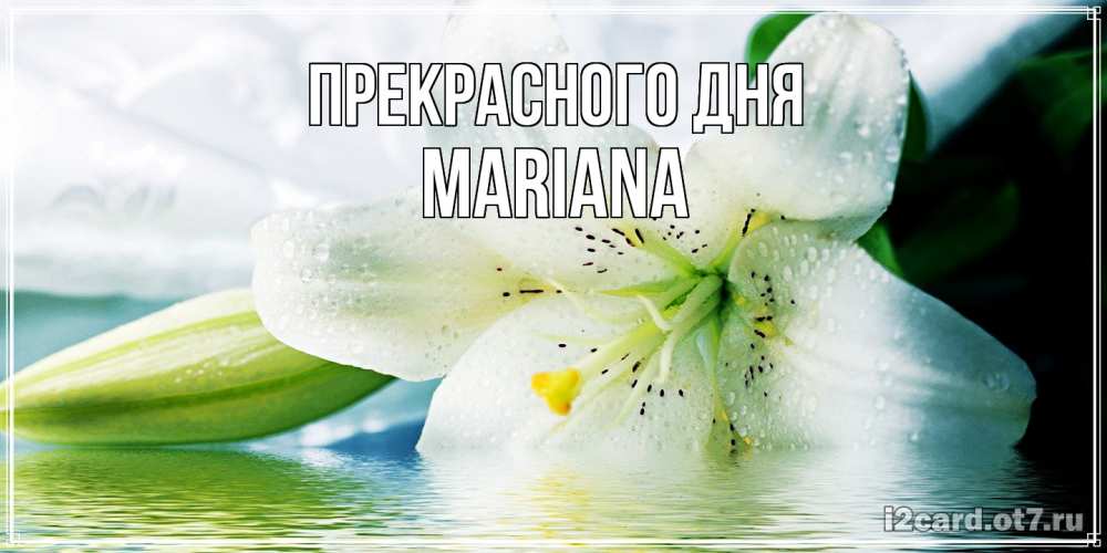 Открытка  с именем. mariana, Прекрасного дня  