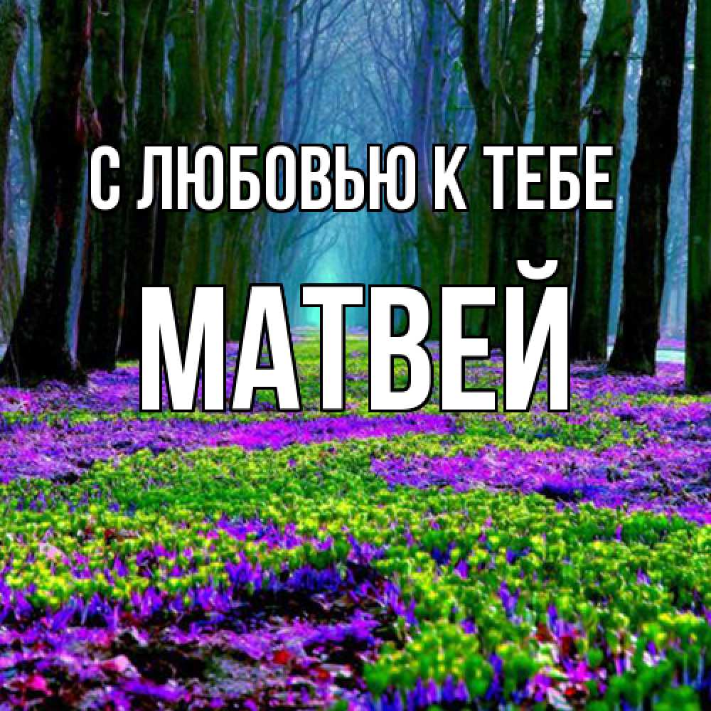 Открытка  с именем. Матвей, С любовью к тебе  