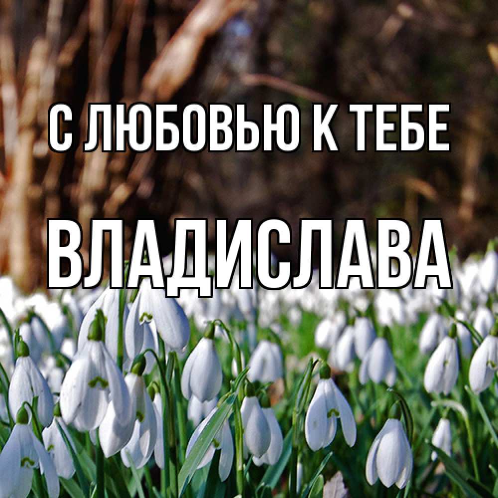 Открытка  с именем. Владислава, С любовью к тебе  