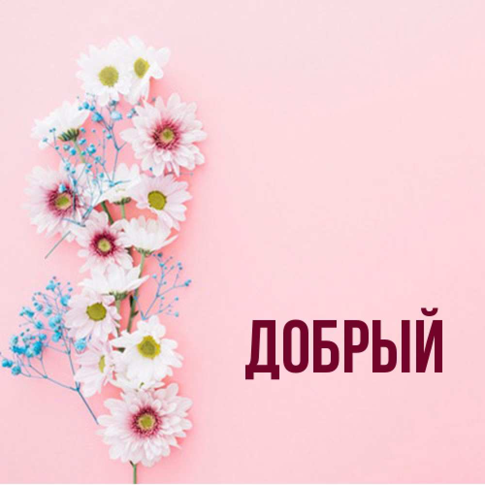 Открытка  с именем. Добрый, Главная  