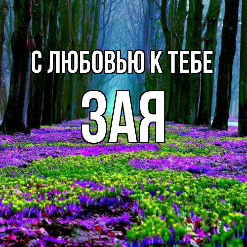 Открытка  с именем. Зая, С любовью к тебе  