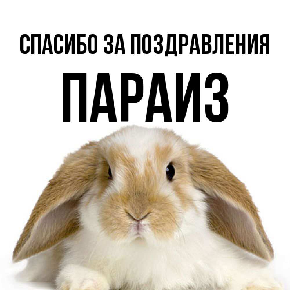 Открытка  с именем. Параиз, Спасибо за поздравления  
