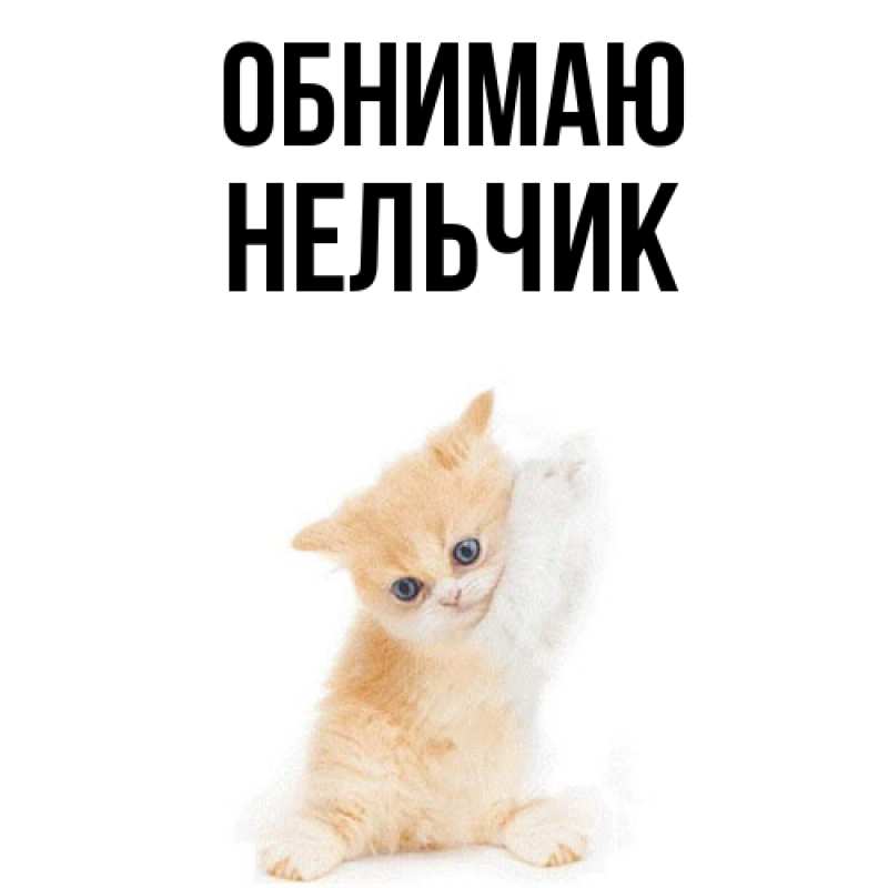 Картинка Обнимаю, Нельчик