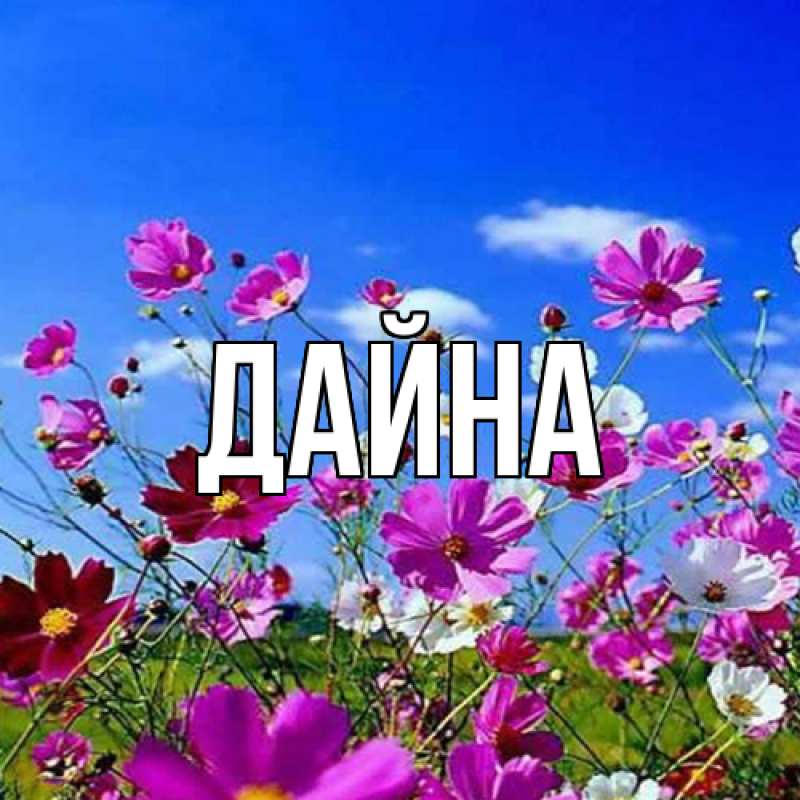 Картинка  с именем , Дайна