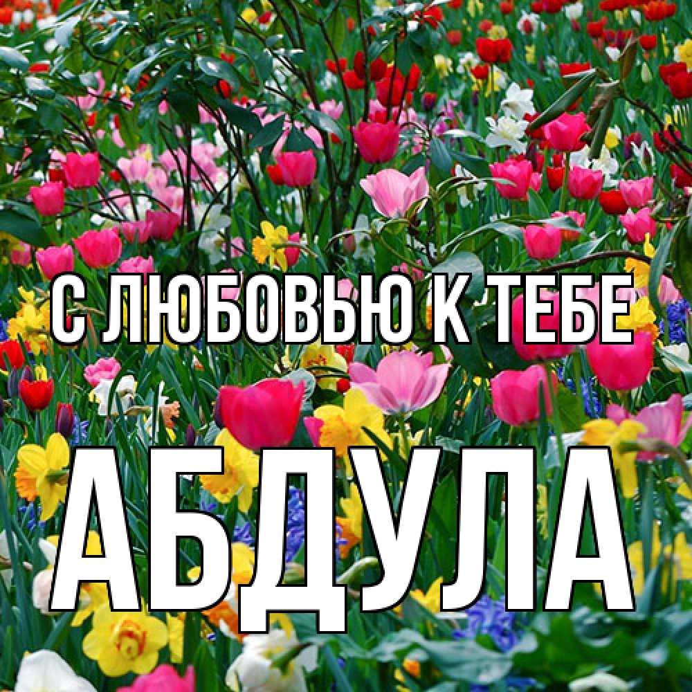 Открытка  с именем. Абдула, С любовью к тебе  