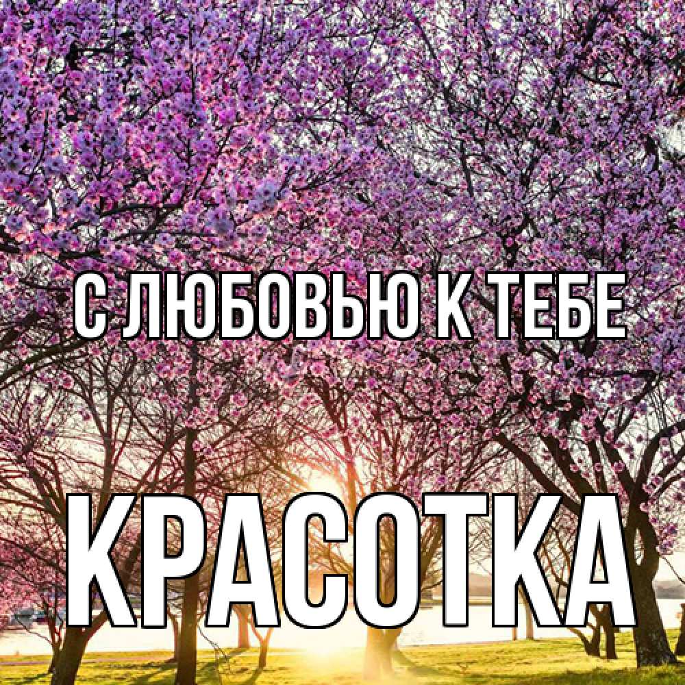 Открытка  с именем. Красотка, С любовью к тебе  