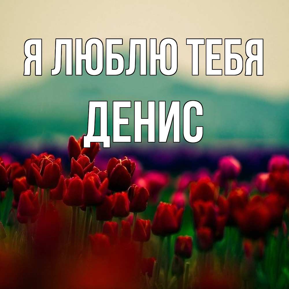 Открытка  с именем. Денис, Я люблю тебя  