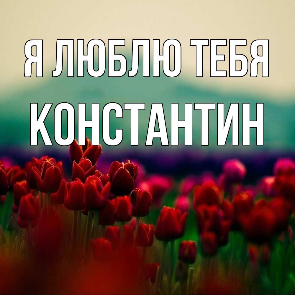 Открытка  с именем. Константин, Я люблю тебя  