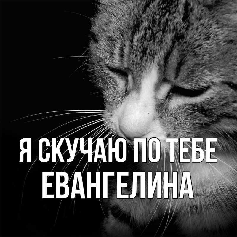 Картинка Я скучаю по тебе, Евангелина