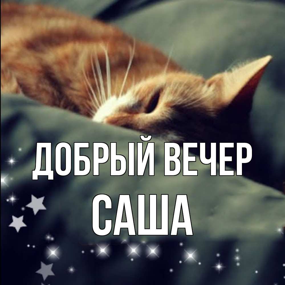 Открытка  с именем. Саша, Добрый вечер  