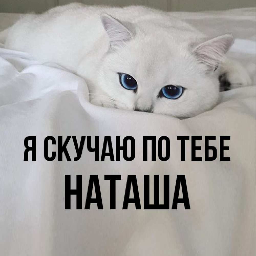 Открытка  с именем. Наташа, Я скучаю по тебе  