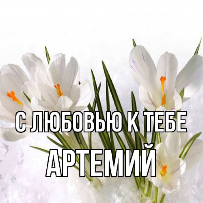 Картинка С любовью к тебе, Артемий