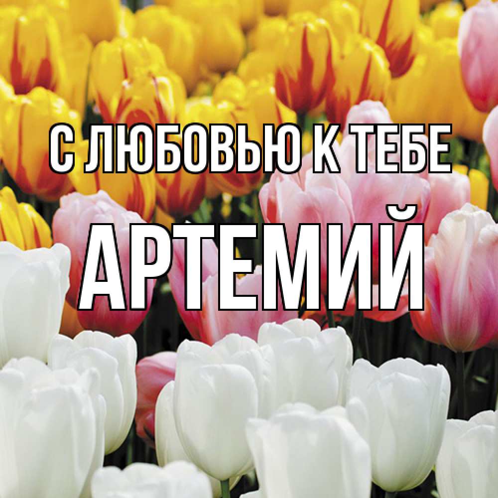 Открытка  с именем. Артемий, С любовью к тебе  