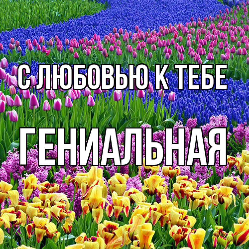 Открытка  с именем. Гениальная, С любовью к тебе  