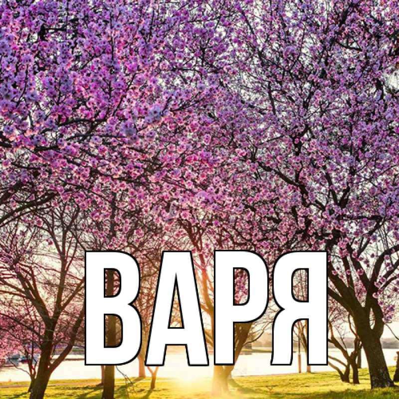 Картинка  с именем , варя