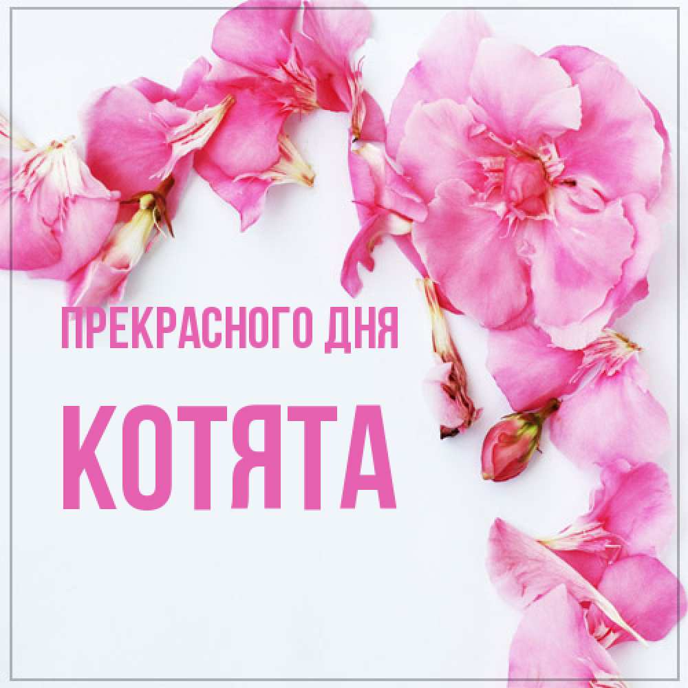 Открытка  с именем. Котята, Прекрасного дня  