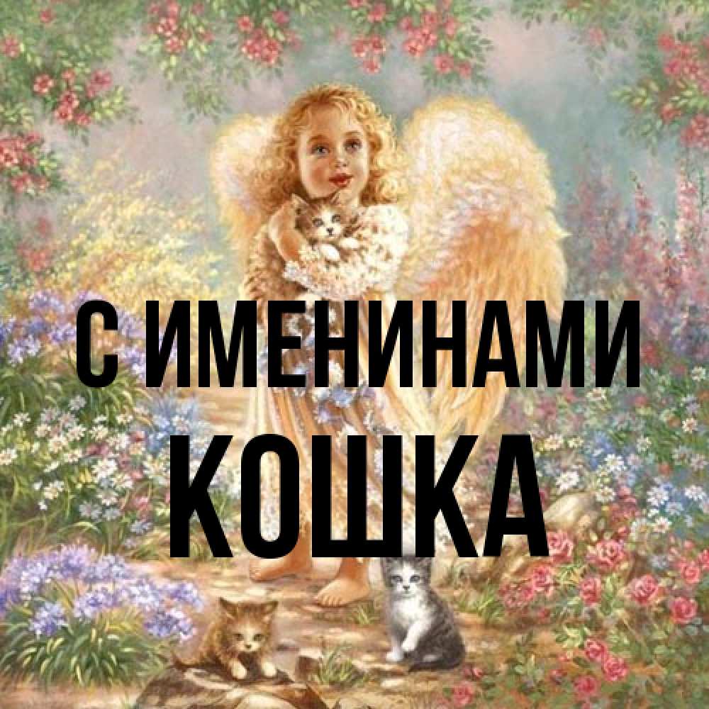 Открытка  с именем. Кошка, С именинами  