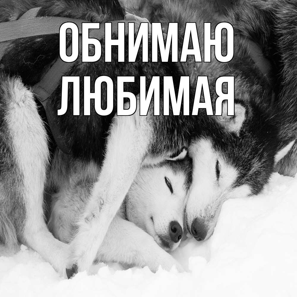 Открытка  с именем. Любимая, Обнимаю  