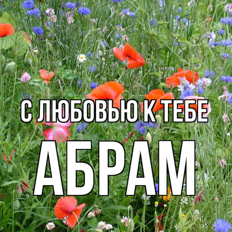 Картинка С любовью к тебе, Абрам