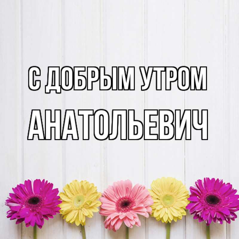 Картинка С добрым утром, Анатольевич