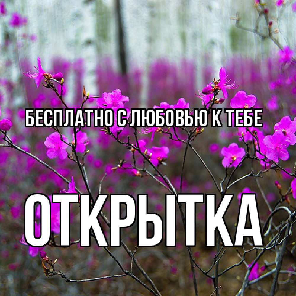 Открытка  с именем. открытка, С любовью к тебе  