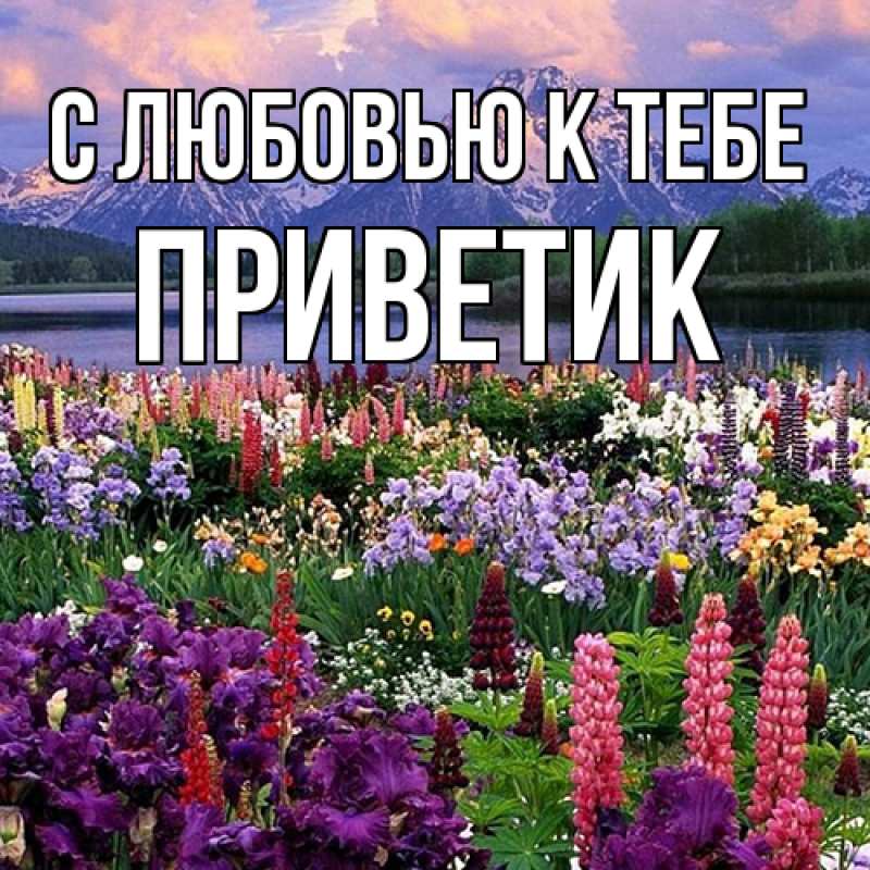 Картинка С любовью к тебе, приветик