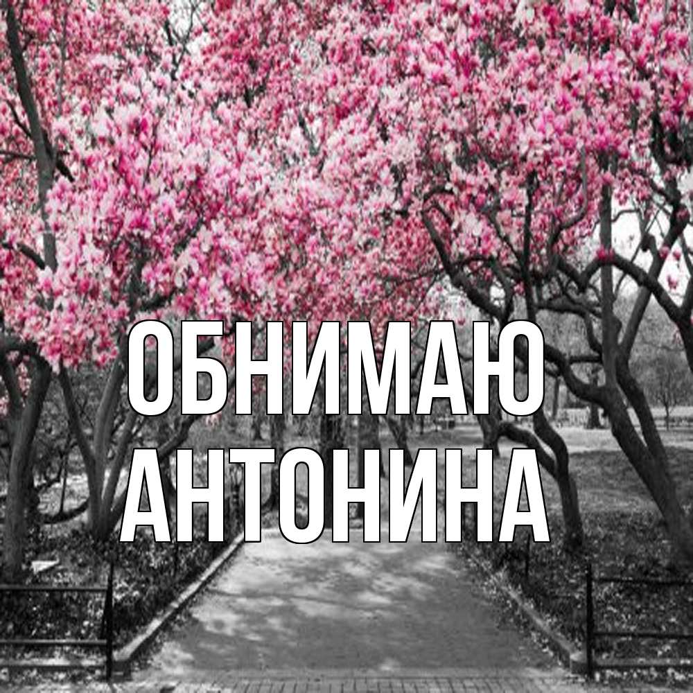 Открытка  с именем. Антонина, Обнимаю  