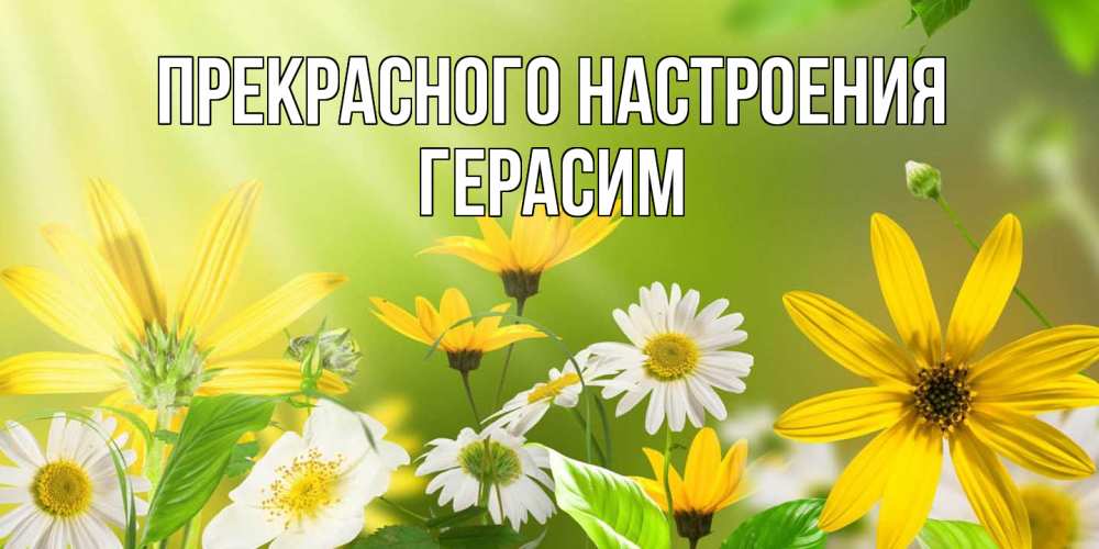 Открытка  с именем. Герасим, Прекрасного настроения  