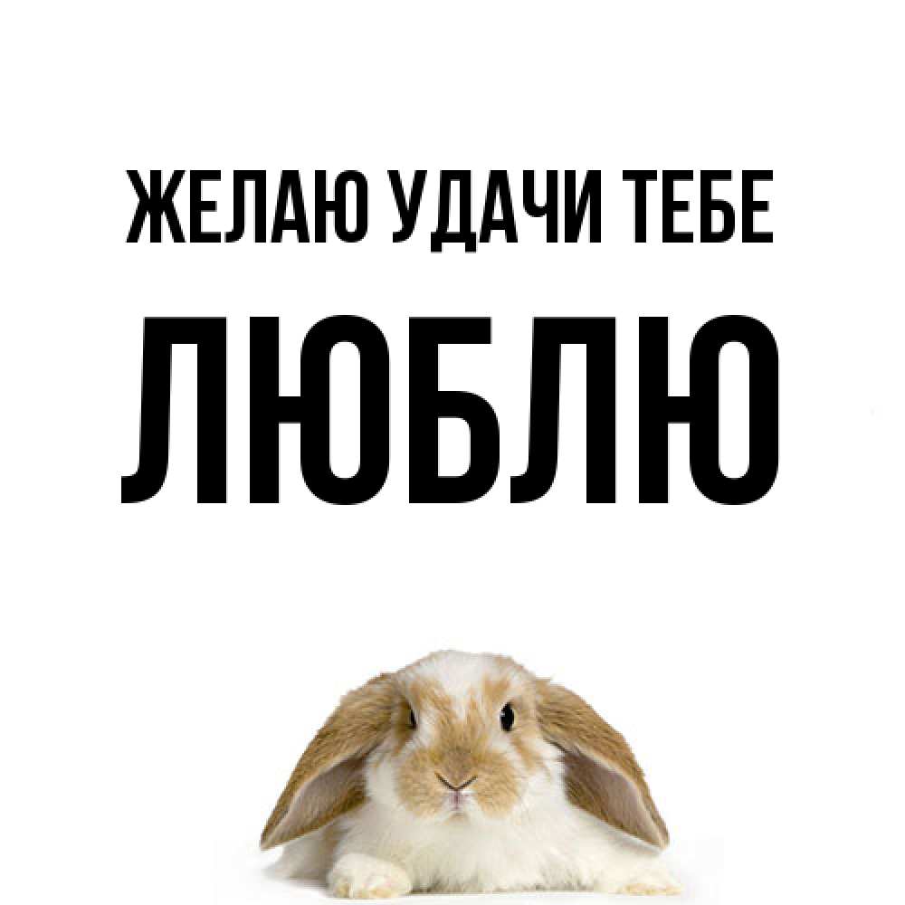 Открытка  с именем. Люблю, Желаю удачи тебе  