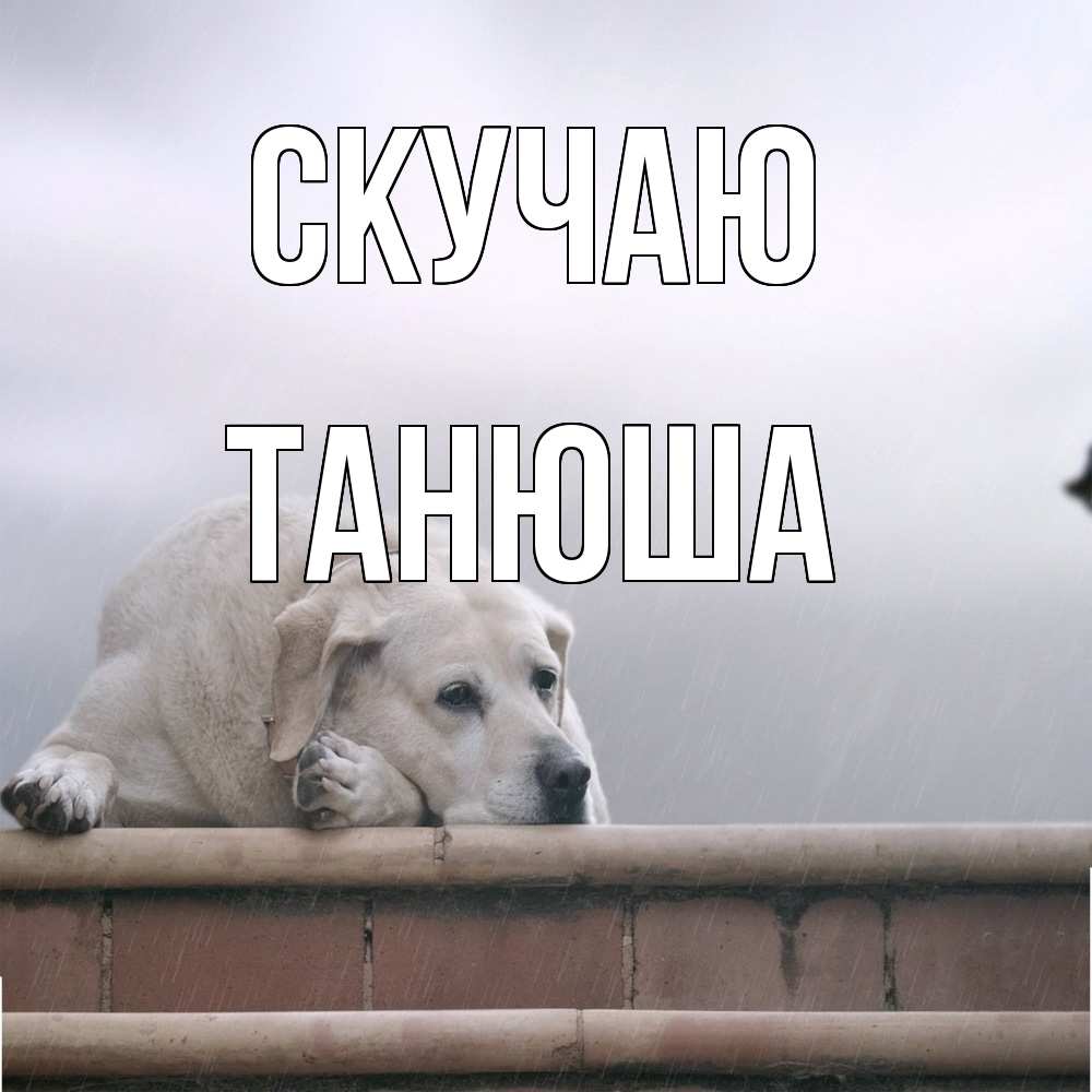 Открытка  с именем. ТАНЮША, Скучаю  