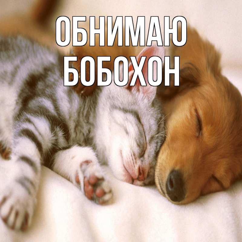 Картинка Обнимаю, Бобохон