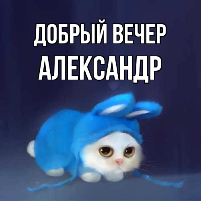 Картинка Добрый вечер, александр