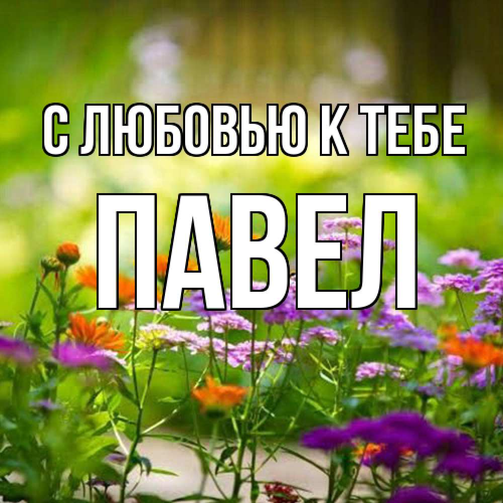 Открытка  с именем. Павел, С любовью к тебе  