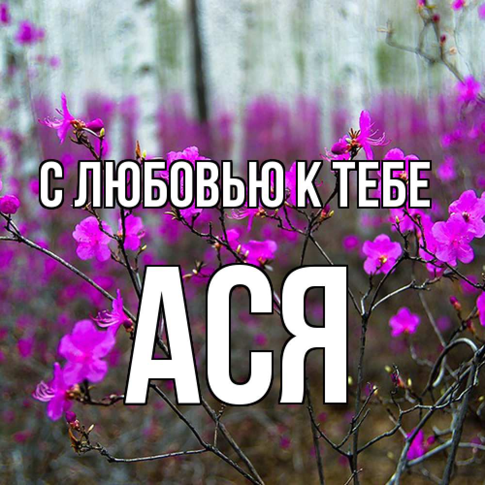 Открытка  с именем. Ася, С любовью к тебе  