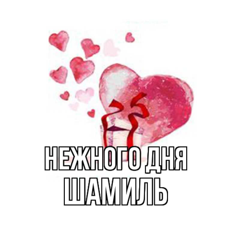 Картинка Нежного дня, Шамиль