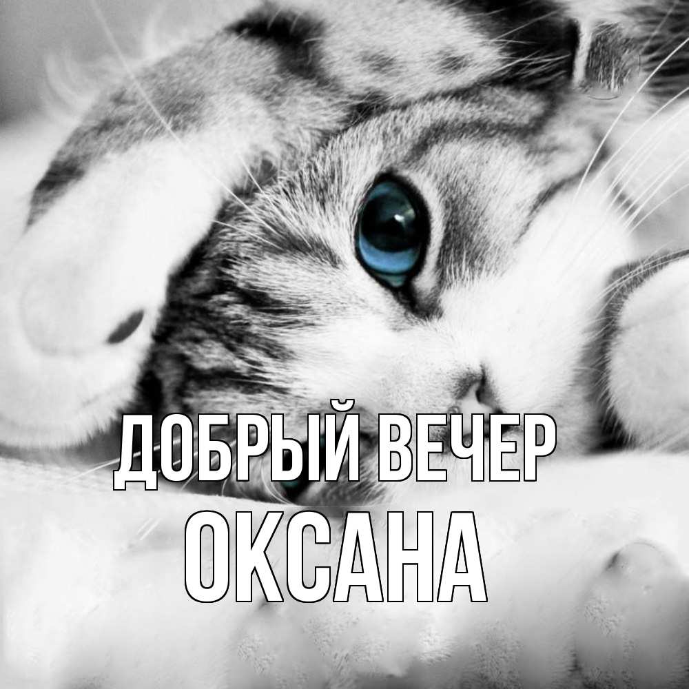 Открытка  с именем. Оксана, Добрый вечер  