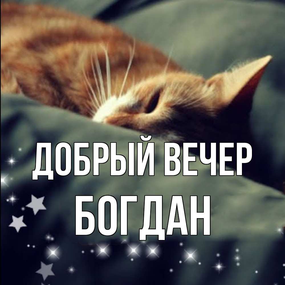 Открытка  с именем. Богдан, Добрый вечер  