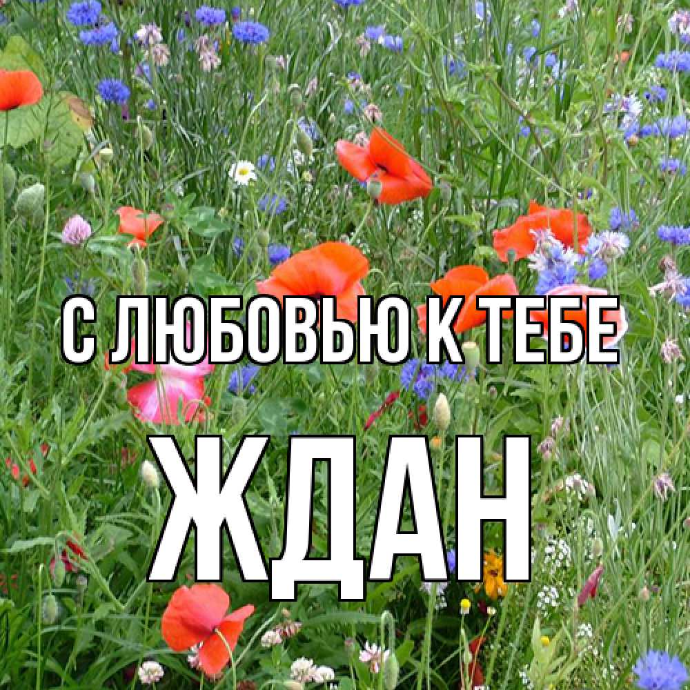 Открытка  с именем. Ждан, С любовью к тебе  