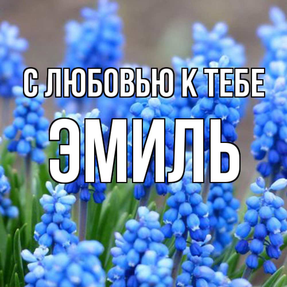 Открытка  с именем. Эмиль, С любовью к тебе  