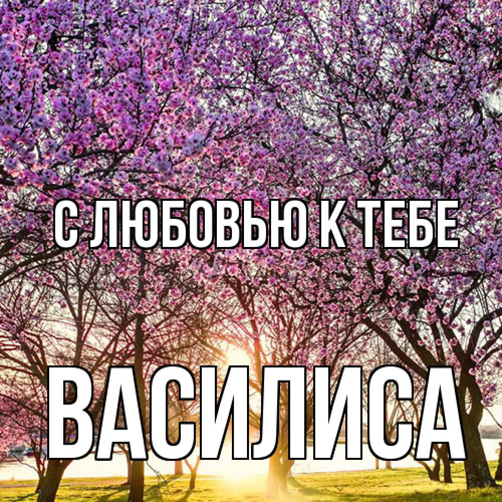 Открытка  с именем. Василиса, С любовью к тебе  