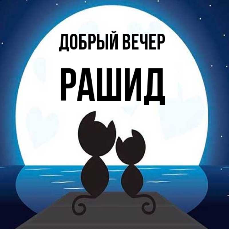 Картинка Добрый вечер, Рашид