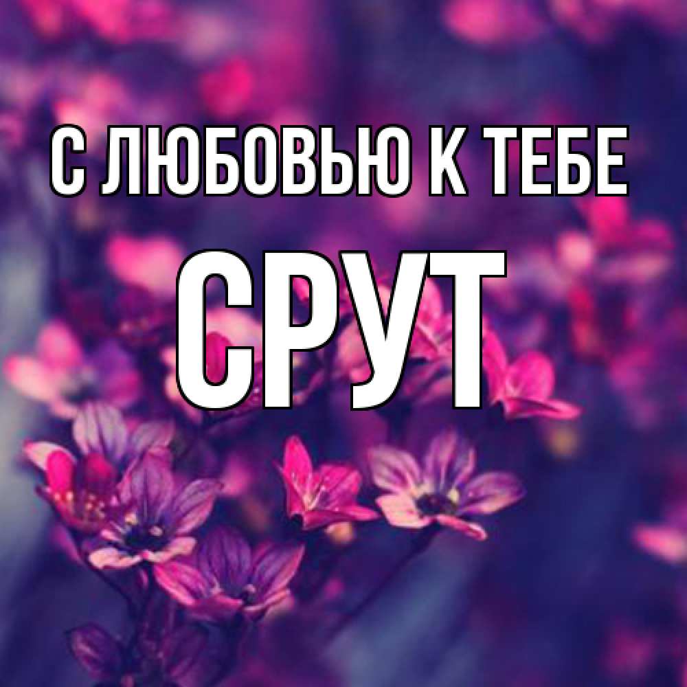 Открытка  с именем. срут, С любовью к тебе  