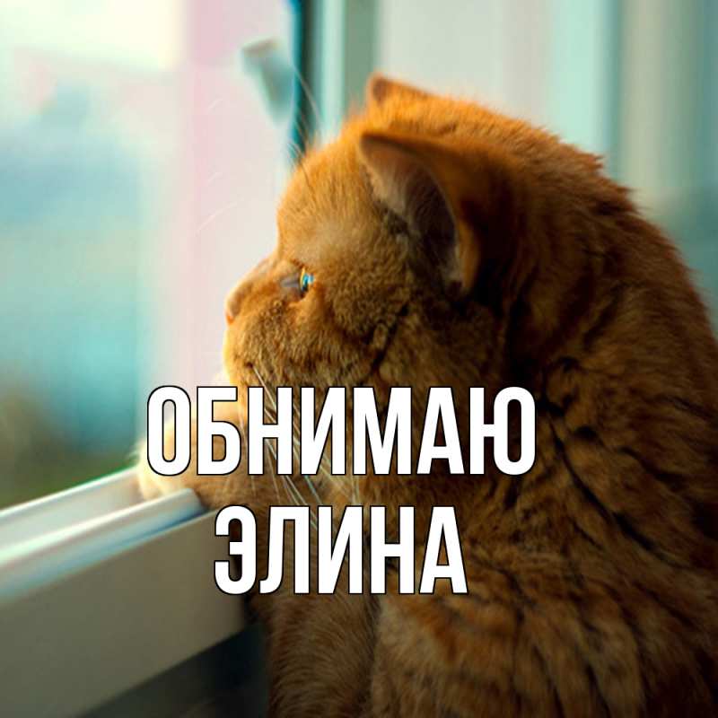 Открытка с именем, Элина, Обнимаю