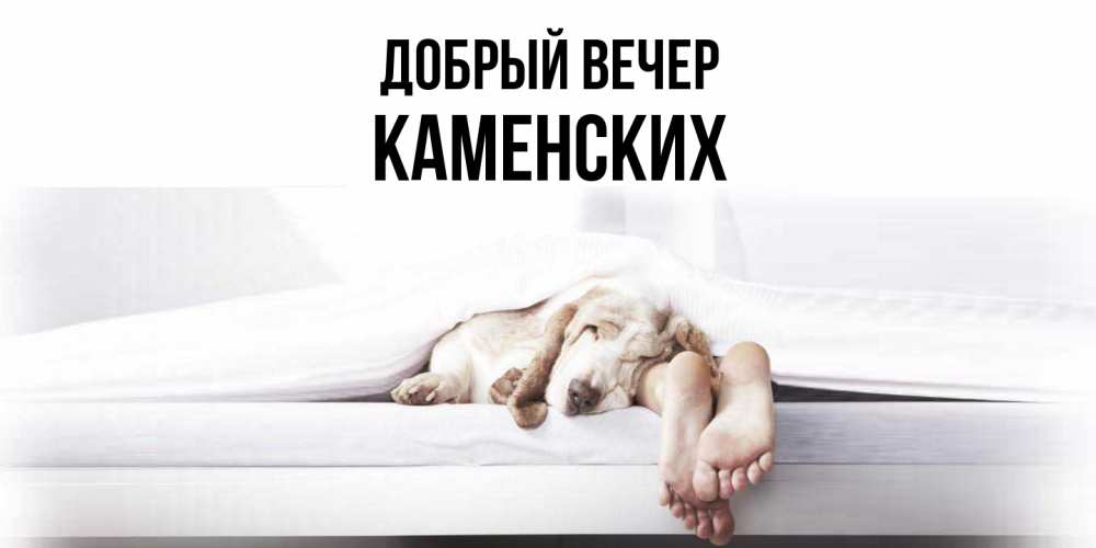 Открытка  с именем. Каменских, Добрый вечер  