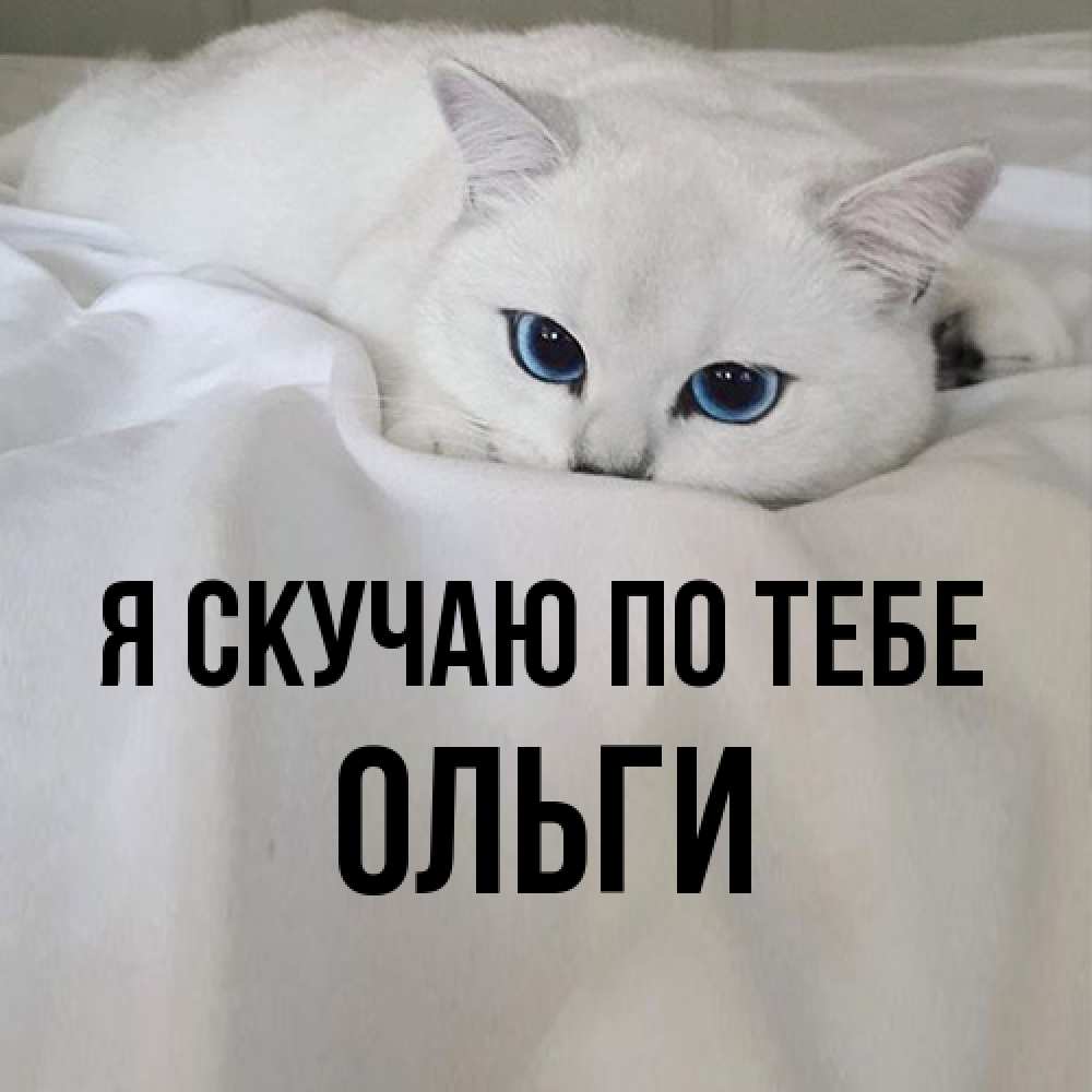 Открытка  с именем. Ольги, Я скучаю по тебе  
