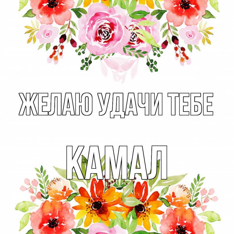 Картинка Желаю удачи тебе, Камал
